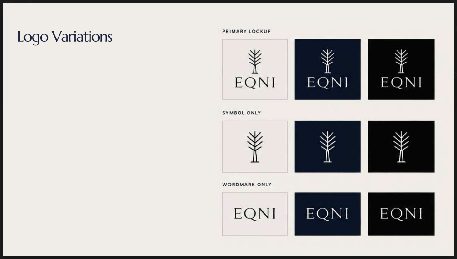 EQNI logo variation presentation